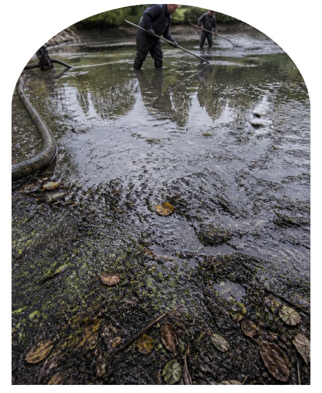 Очистка пруда в Белогорске от ила мусора и водорослей с вывозом